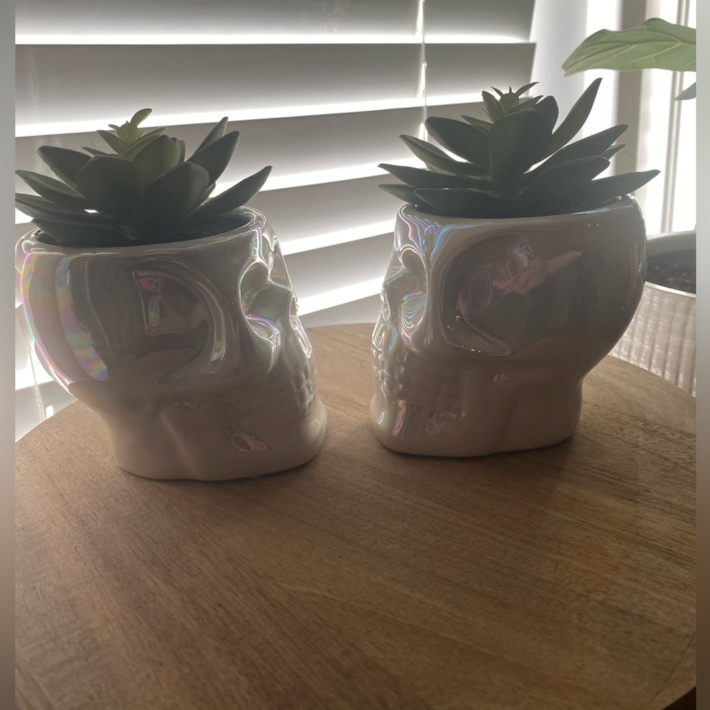 Iridescent Skull Planters with Faux Succulents Halloween Decor - Picture 5 of 8